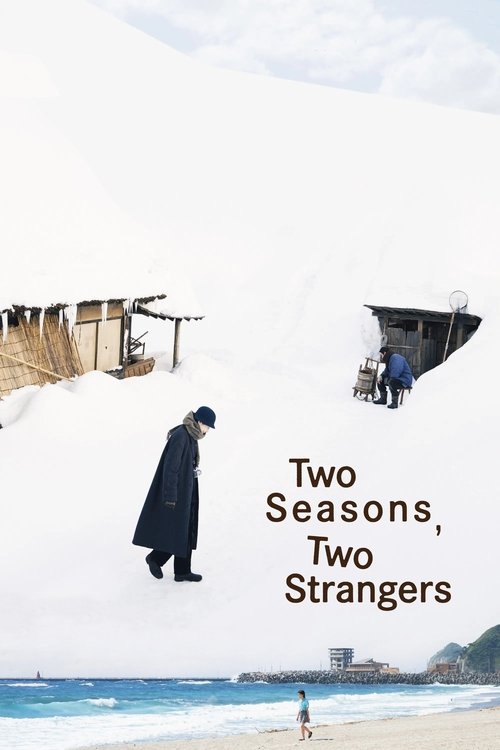 Two Seasons, Two Strangers poster